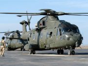 Presiden: Kalau Ada Penyelewengan Pembelian Heli, Tahu Sendiri