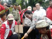 Hasto: Ibu Sosok Pecinta Tanaman Sejati