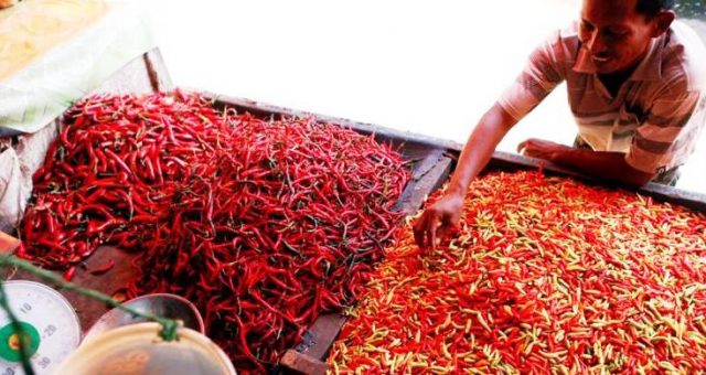 Hargai cabai rawit merah mencapai Rp 160 ribu per kilogram [Foto: Istimewa]