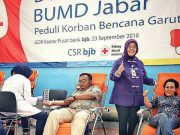 Perlu, Dasar Hukum untuk Badan Usaha Milik Daerah