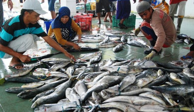 Ilustrasi tingkat konsumsi ikan Indonesia [Foto: Istimewa]