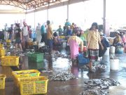 Ironis, Petani dan Nelayan Tetap Menjadi Golongan Termiskin
