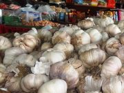 Izin Impor Bawang Putih Hanya Diberikan ke Bulog, KPPU Akan Beraksi