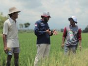 Pupuk Indonesia Luncurkan Agro Solusi untuk Indonesia