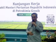 Wamentan Harvick Pastikan Kesiapan Produk Pupuk Subsidi
