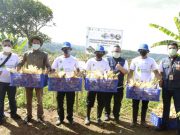 bank bjb Dukung Kesejahteraan Petani Jagung Lewat KUR Petani Milenial
