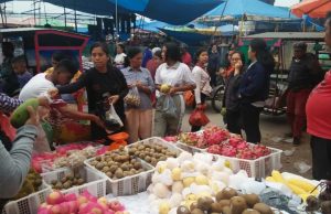 Buah naga kebun warga Balige Tobasa masuk pasar