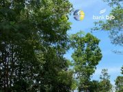 Ratusan Peserta Meriahkan Pasundan Ride bank bjb 2021