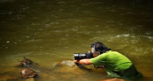 Wahyu Sigit Berburu Capung