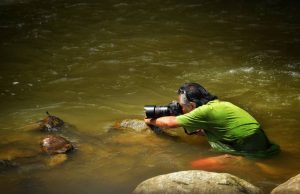 Wahyu Sigit Berburu Capung