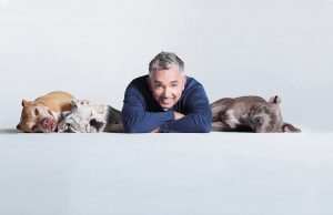 Cesar Millan The Dog Whisperer