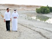 Presiden Joko Widodo dan Putra Mahkota Mohammed bin Zayed - menanam mangrove -istimewa