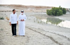 Presiden Joko Widodo dan Putra Mahkota Mohammed bin Zayed - menanam mangrove -istimewa