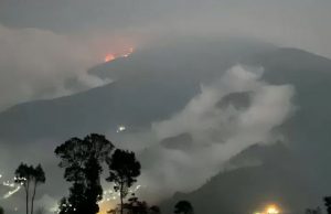 Kebakaran hutan di lereng gunung Merbabu (Foto: Innalar)