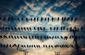 Ilustrasi, burung hinggap di kabel listrik (dibuat dengan AI)