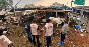 Foto: Satgas Pangan Polri Tinjau Pasar (dok istimewa)