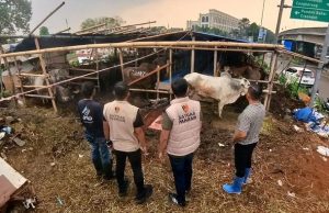 Foto: Satgas Pangan Polri Tinjau Pasar (dok istimewa)