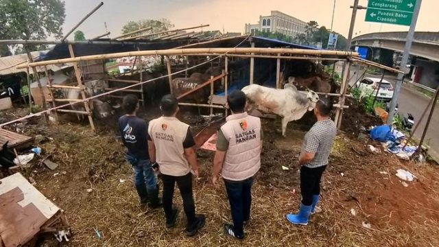 Foto: Satgas Pangan Polri Tinjau Pasar (dok istimewa)