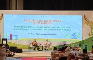 Kebutuhan Gas Bumi Cukup Besar, SKK Migas Imbau Produsen Produksi Gas Sebanyak-banyaknya (Istimewa)