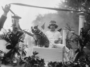 Sersan Stubby dalam parade militer setelah Perang Dunia I. Stubby adalah anjing pit bull terrier amerika yang punya jasa besar dalam perang di Eropa. Dia menjadi anjing pertama yang mendapatkan pangkat militer dalam sejarah AS. (Harris & Ewing/Library of Congress)