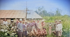 Para pekerja kontrak atau kuli di perkebunan tembakau.(foto: Tropenmuseum/colorized: Sulindo)