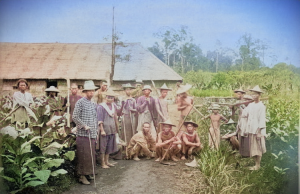 Para pekerja kontrak atau kuli di perkebunan tembakau.(foto: Tropenmuseum/colorized: Sulindo)