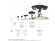 Perbandingan ukuran awan jamur yang dihasilkan dari ledakan Tsar Bomba. (Sumber: RadioFreeEurope)