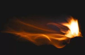 Ilustrasi Banaspati (foto: freepik.com/@rawpixel)