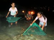 Masyarakat menjaring “Laor”saat tradisi Timba Laor di Ambon, Maluku. (foto: Antara/ Izaac Mulyawan)