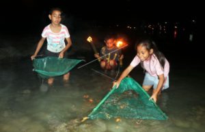 Masyarakat menjaring “Laor”saat tradisi Timba Laor di Ambon, Maluku. (foto: Antara/ Izaac Mulyawan)