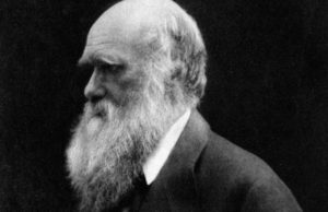 Charles Darwin(Julia Margaret Cameron/Wikimedia Commons)