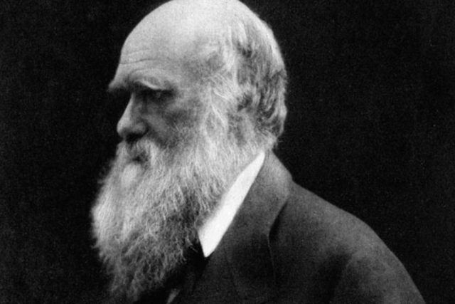 Charles Darwin(Julia Margaret Cameron/Wikimedia Commons)