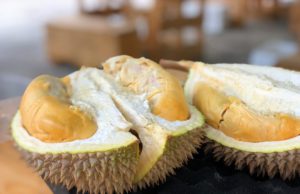 Buah Durian. (sumber: Unsplash)