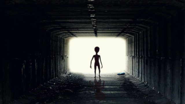 Zoo Hypothesis menjelaskan alasan mengapa kita tidak dapat melihat alien. (Sumber: Pixabay)