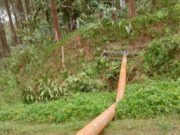 Pohon tumbang mengakibatkan tiang listrik roboh sehingga aliran listrik terputus di salah satu desa di Wilayah Kuningan, Jawa Barat. (Foto: Sulindo/Ulfa Nurfauziah)