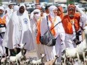 Saatnya Dam Haji di Negeri Sendiri