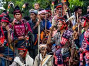 Wulla Poddu, Tradisi yang Menjaga Keseimbangan antara Dunia, Alam, dan Leluhur