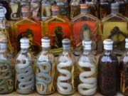 Snake Wine. (Foto: www.scmp.com)