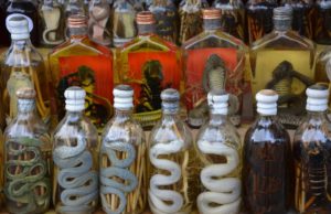 Snake Wine. (Foto: www.scmp.com)