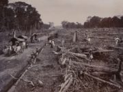 Kolonialisme Telah Usai, Perusakan Belum