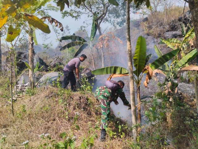 30 Hektare Lahan TNGC di Kuningan Terbakar, Api Berhasil Dipadamkan