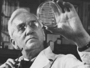 Alexander Fleming dan Penemuan Penisilin yang Merevolusi Dunia Medis