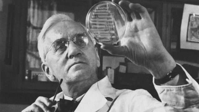 Alexander Fleming dan Penemuan Penisilin yang Merevolusi Dunia Medis