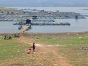 Waduk Darma Surut, Volume Air Kini Tersisa 30 Persen