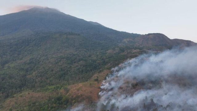 Kondisi terkini kebakaran hutan dan lahan di Taman Nasional Gunung Ciremai, Kabupaten Kuningan, Jawa Barat, Kamis (22/10/2026). (ANTARA/HO BPBD Kabupaten Kuningan)